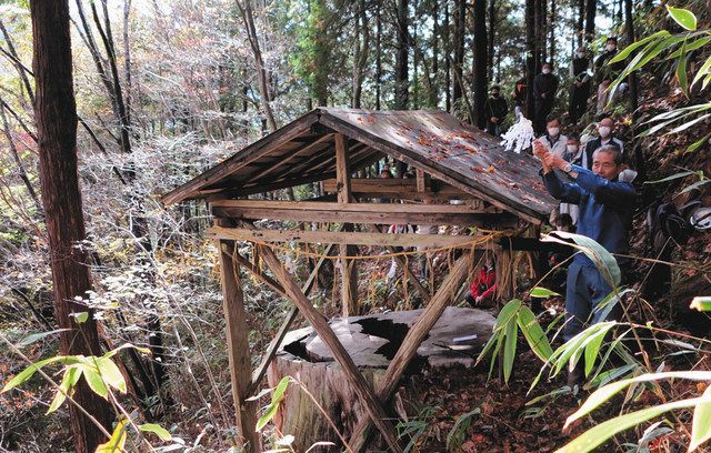 神宿すヒノキが物語る歴史 中津川の国有林 初代大檜 中日新聞web