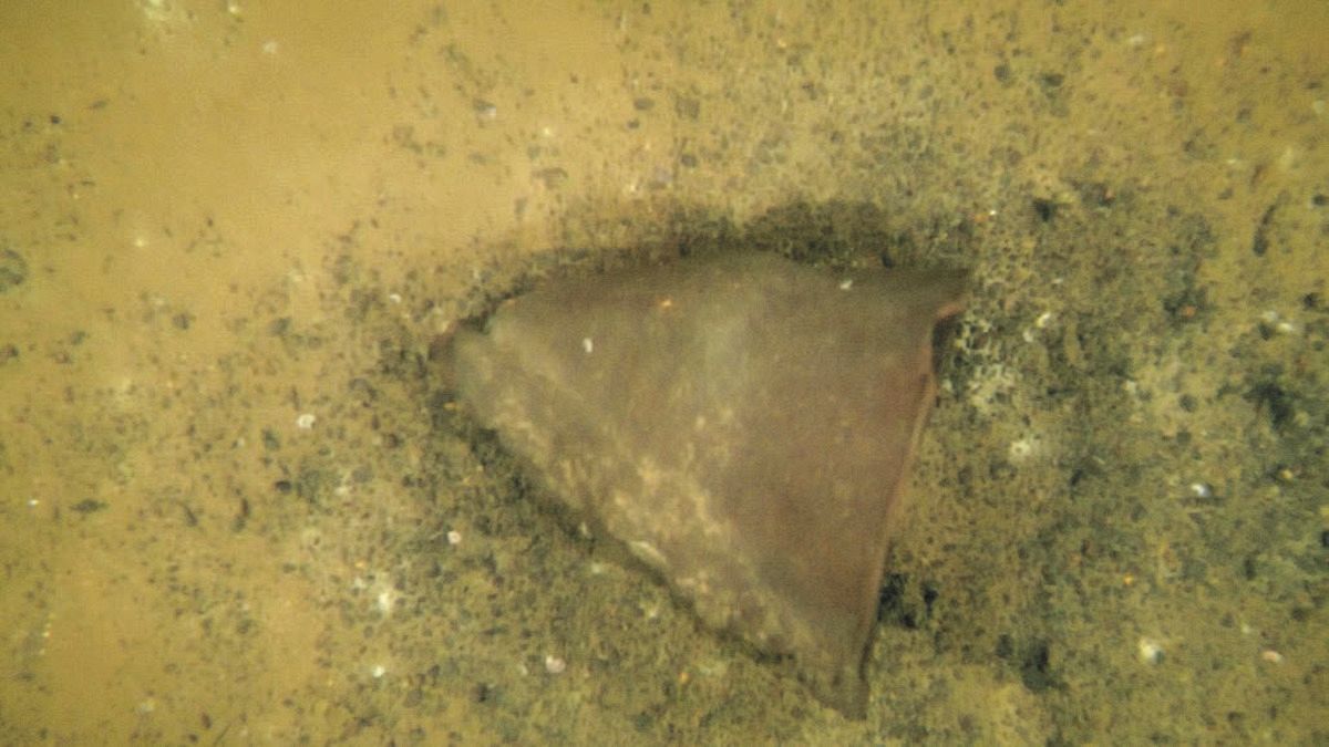 葛籠 尾崎 湖底 遺跡