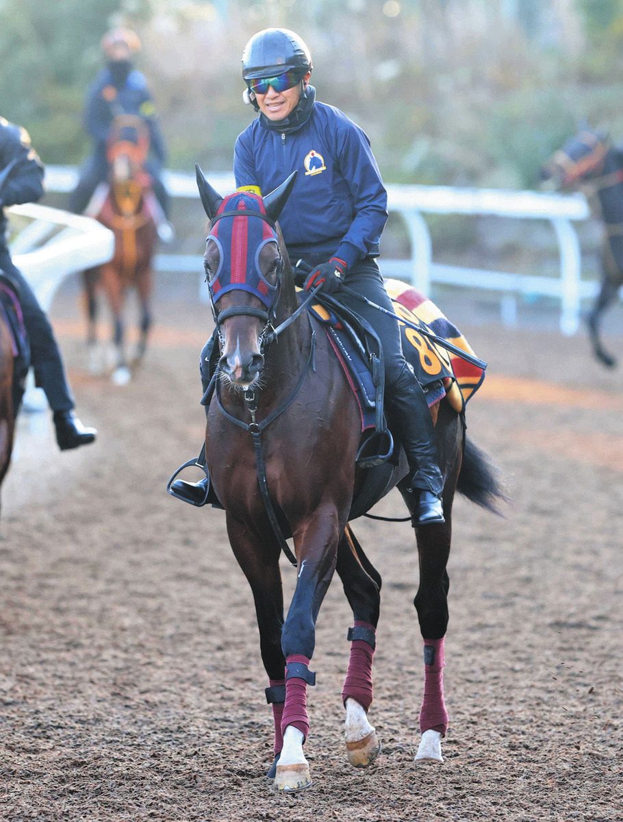 競馬 シンザン 記念