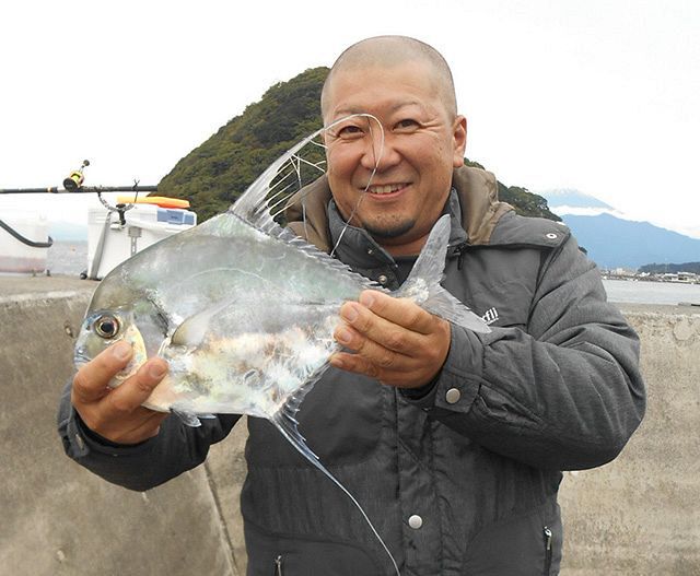 沼津市の小海港をウォッチング イトヒキアジにイナダ等 魚種多彩 中日スポーツ 東京中日スポーツ