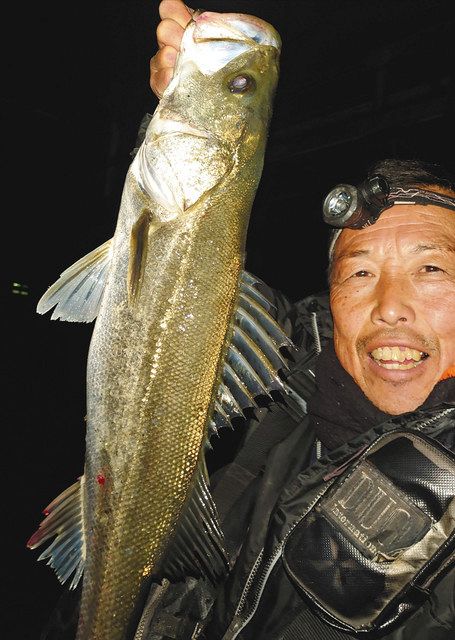 ぐるっと北勢 駿遠 シーバス69センチ 鈴鹿 中日スポーツ 東京中日スポーツ ぐるっと北勢 駿遠 シーバス69センチ 鈴鹿 中日スポーツ 東京中日スポーツ