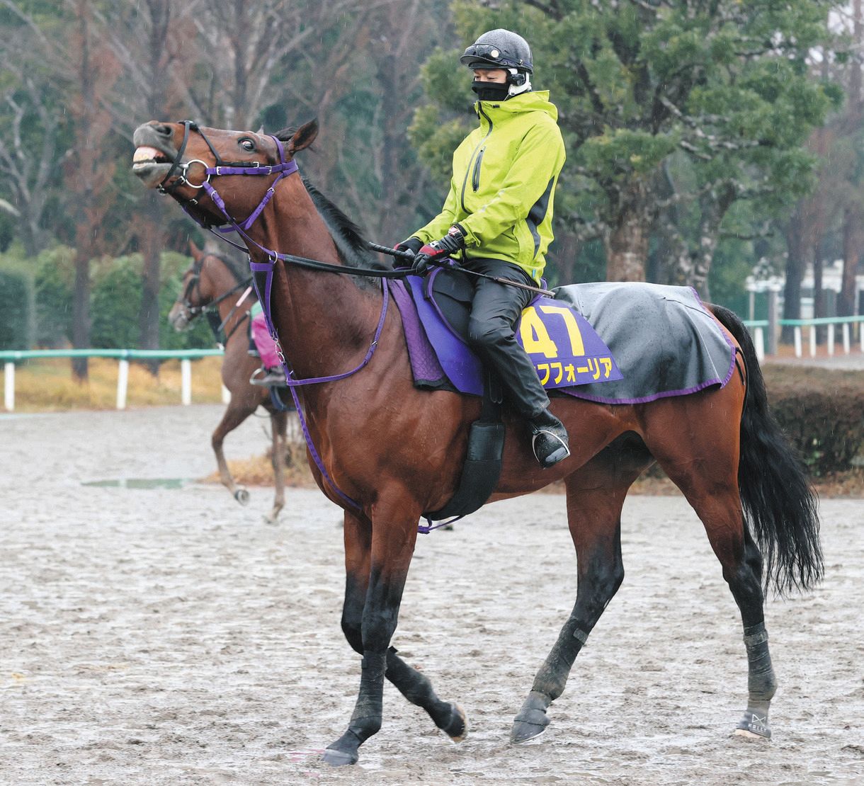 セブンリーグブーツ コレクション 乗馬