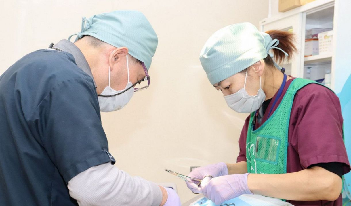 Mie Prefecture is Actively Promoting Sterilization of Stray Cats：中日新聞