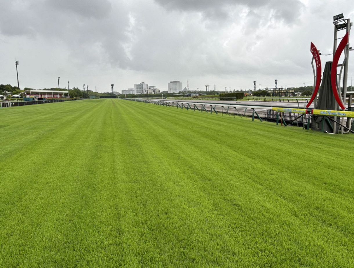 中京 競馬 場 馬場