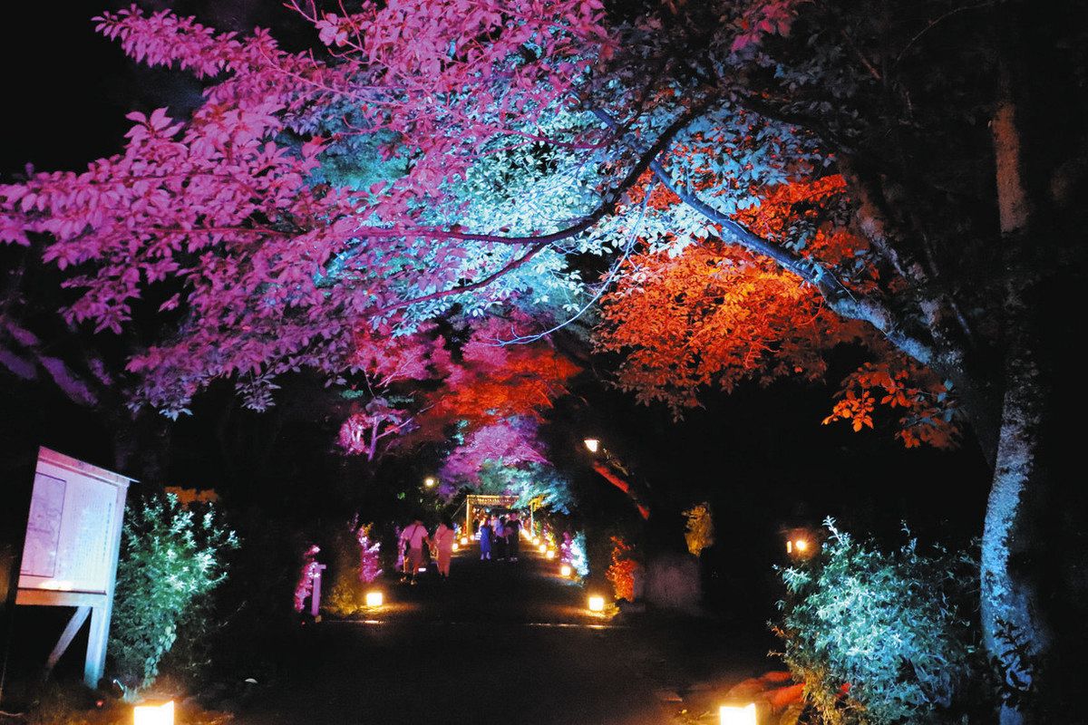 極楽浄土で夕涼み 大津市の西教寺、9月6日までライトアップ：中日新聞Web