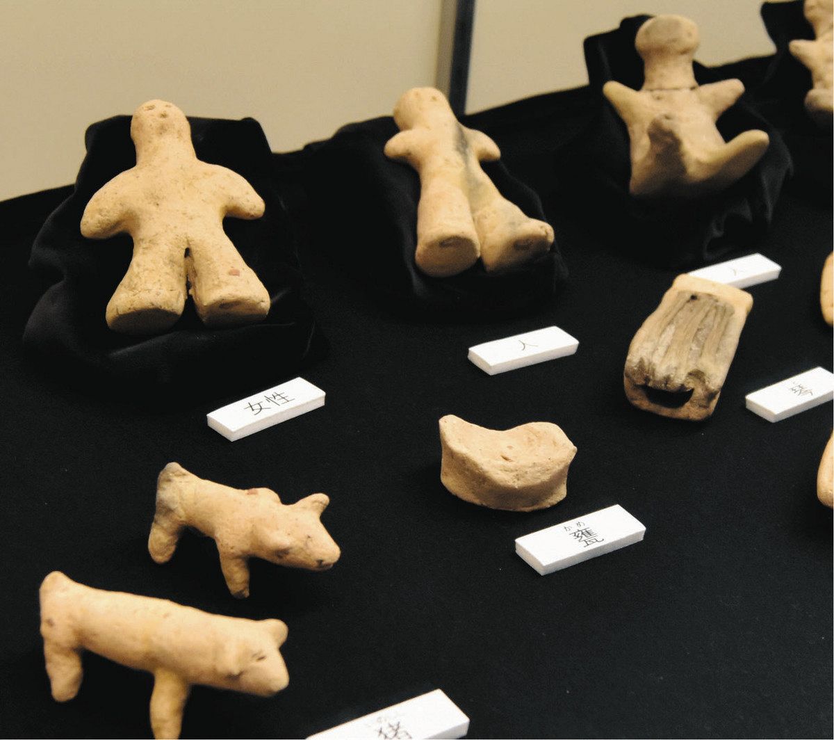 常設展示37年ぶり一新 磐田市埋蔵文化財センター：中日新聞しずおかWeb