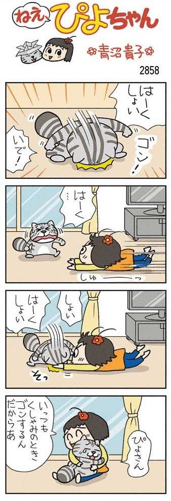 ねえ、ぴよちゃん：中日新聞Web