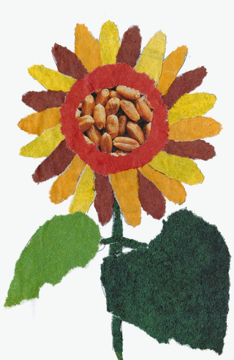 新聞ちぎり絵 ギャラリー＞ 「ヒマワリ」：中日新聞しずおかWeb