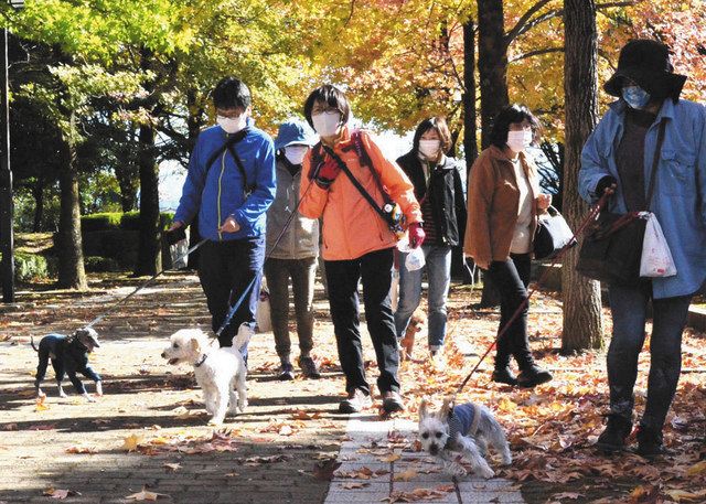 散歩マナー 愛犬とお勉強 白山 松任総合運動公園 北陸中日新聞web