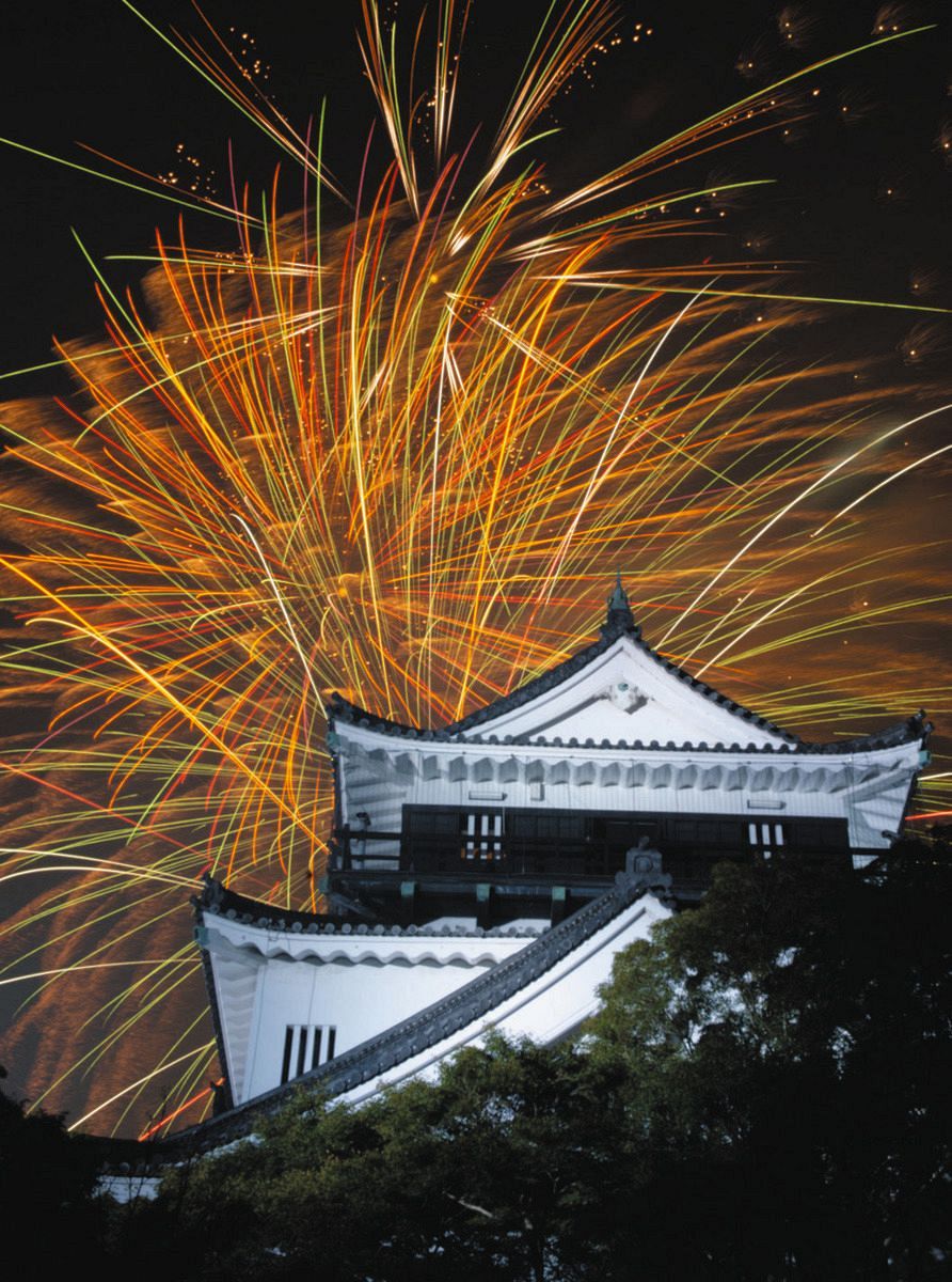 活動歴および当時の関連ビジュアル記録