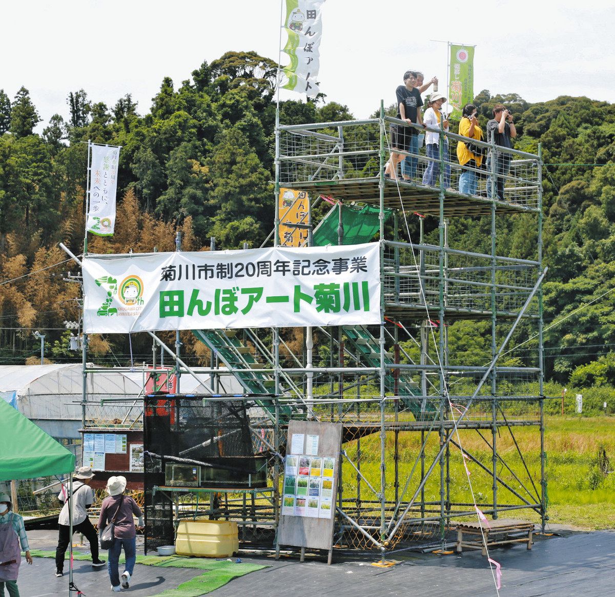 紫式部」色づく、十二単見どころ 菊川・田んぼアート：中日新聞しずおかWeb