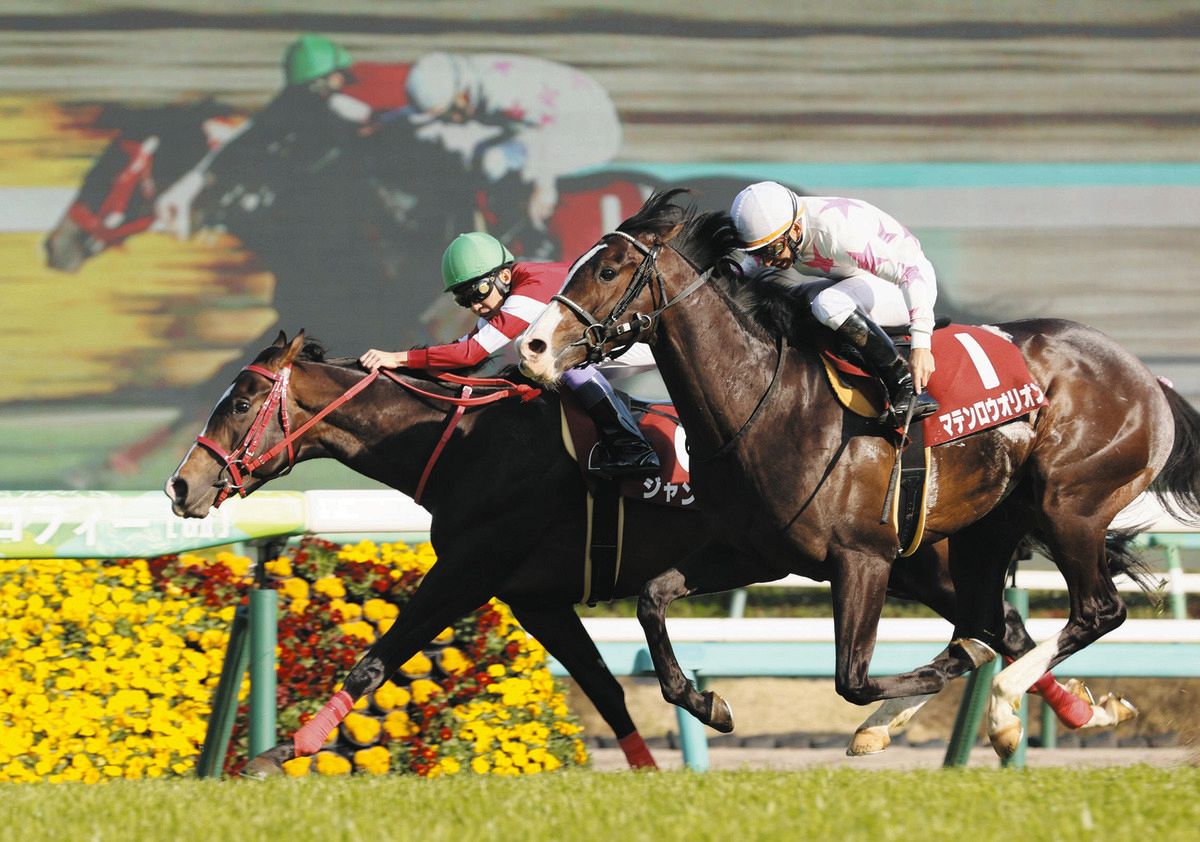 22年ニュージーランドT制したジャングロが登録抹消 今後は鹿児島県で種