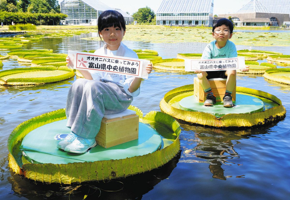 オォ 乗れた！ 県中央植物園 ：北陸中日新聞Web