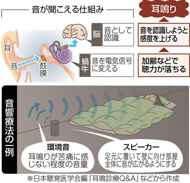 マキチエ 補聴器 サウンドジェネレーター TRT療法 耳鳴り - 看護、介護用品