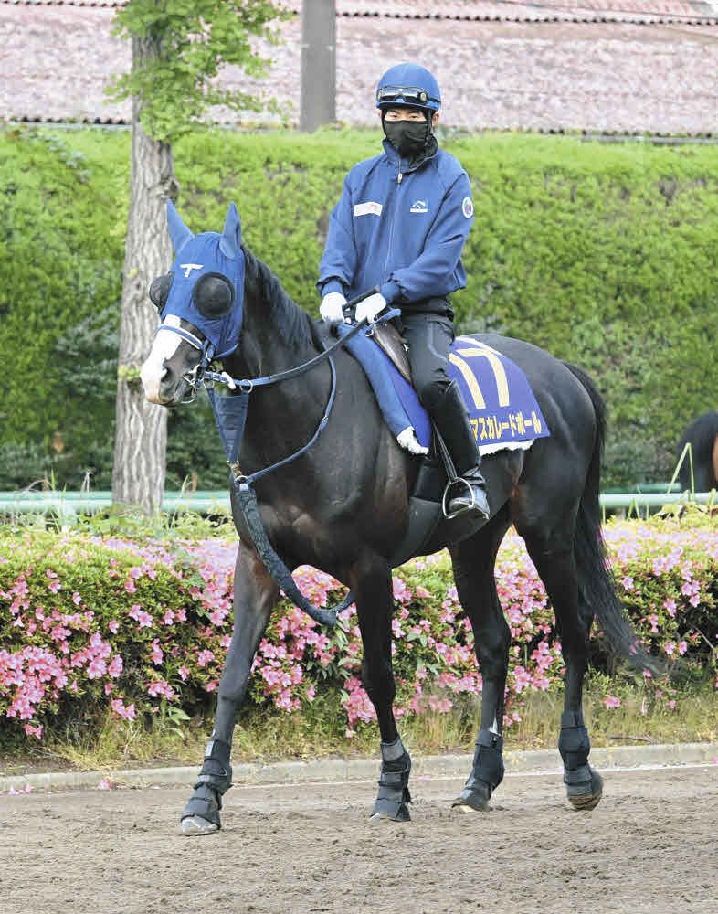 キムラヨウヘイさんコラム】中・長距離適性を問われる日本ダービー