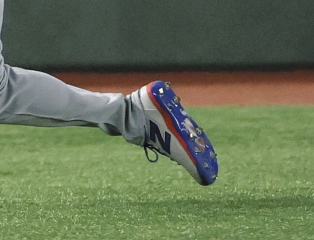 ◇ドジャース・大谷翔平、愛犬・デコピンと共に…【写真】：中日