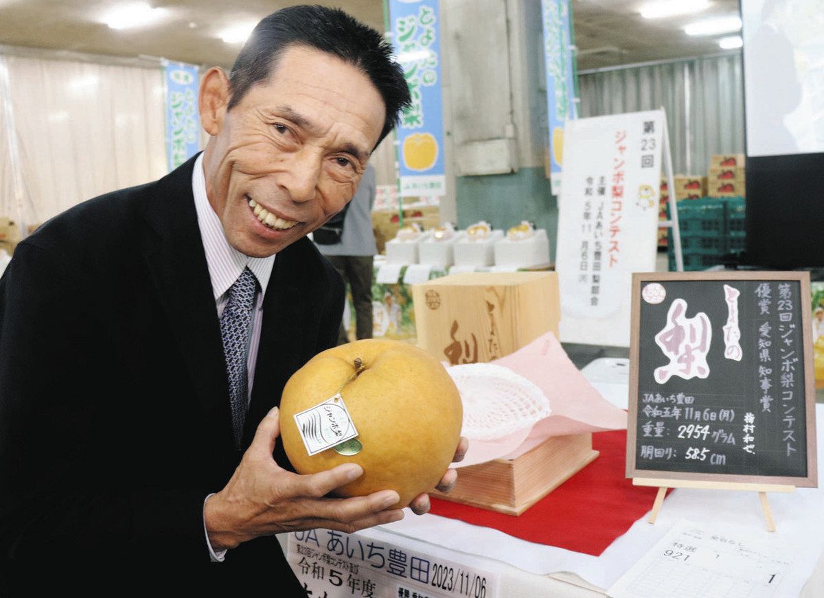 2954グラムの梨、頂点に輝く 豊田で「愛宕」の重量コンテスト：中日新聞Web