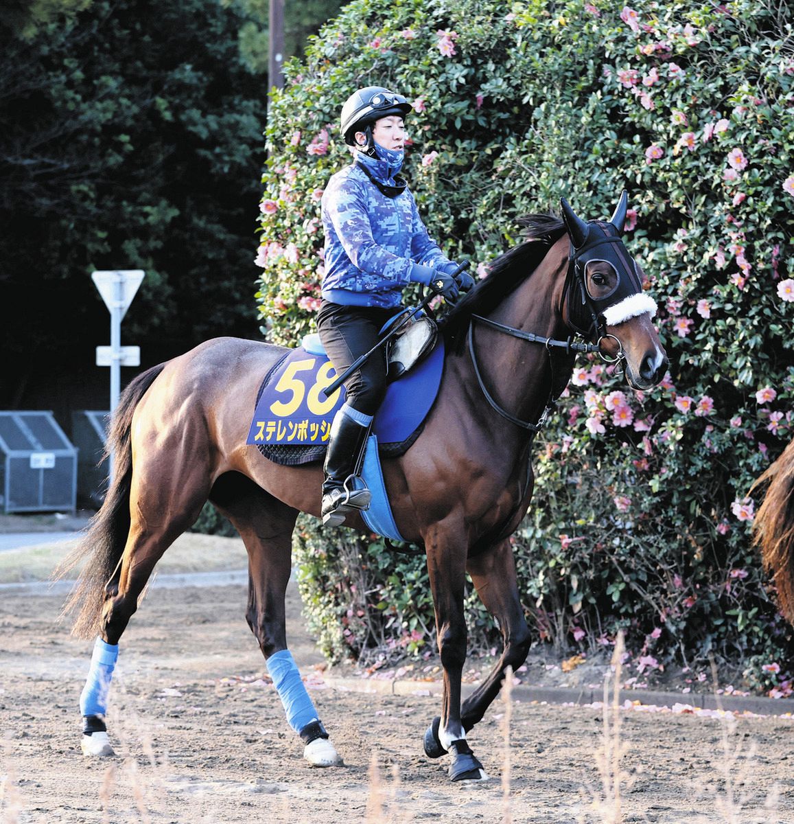 大阪杯・吉田稔さん予想】ステレンボッシュが本命！ペース流れそうで