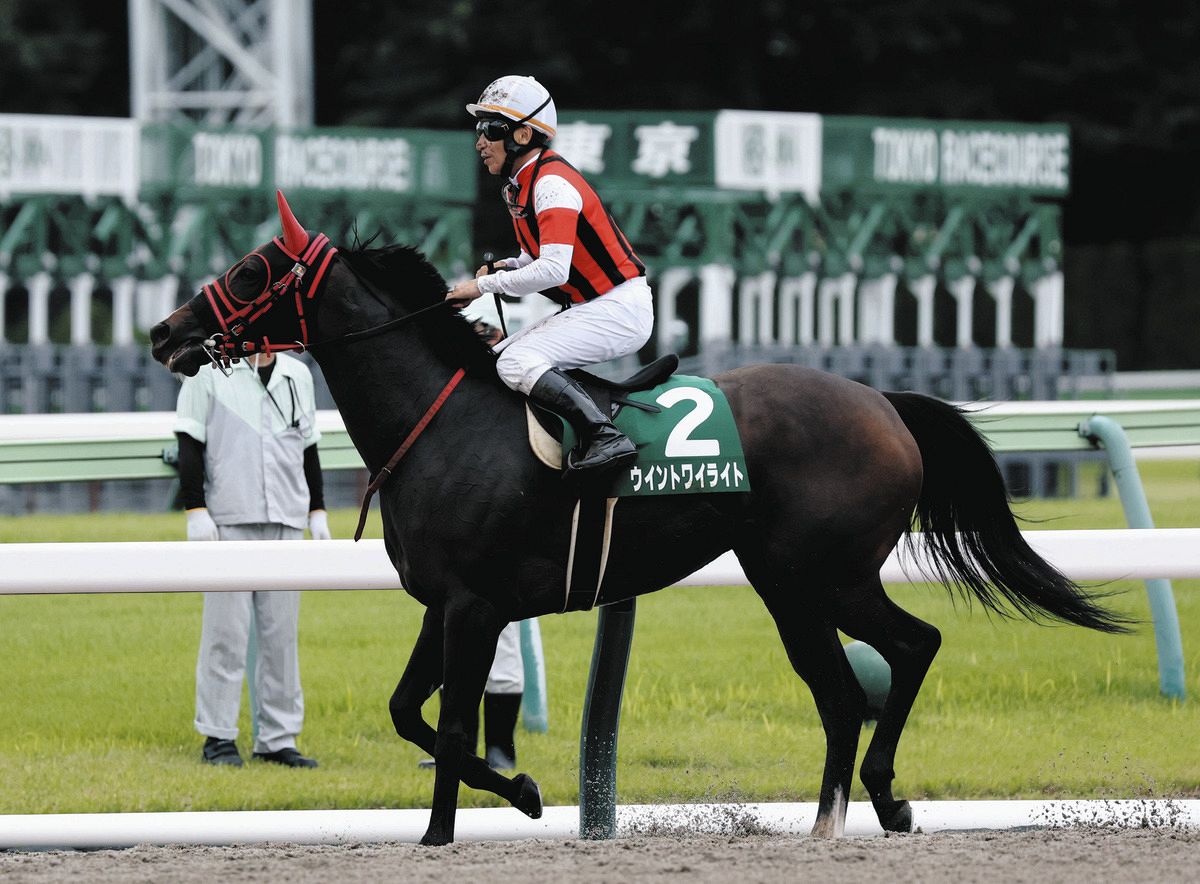 府中牝馬S】9番人気ウイントワイライト直線粘って2着に食い込む 西園師 