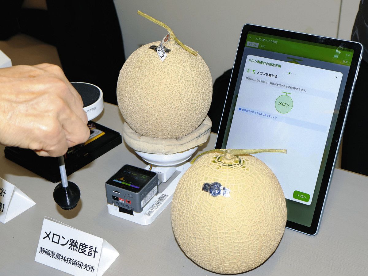 そのメロン食べ頃かな…？ 「熟度計」を静岡県農林技術研究所が開発、た