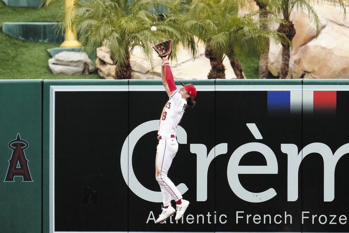 【写真】ホームランキャッチをするフィリップス:中日スポーツ・東京中日スポーツ