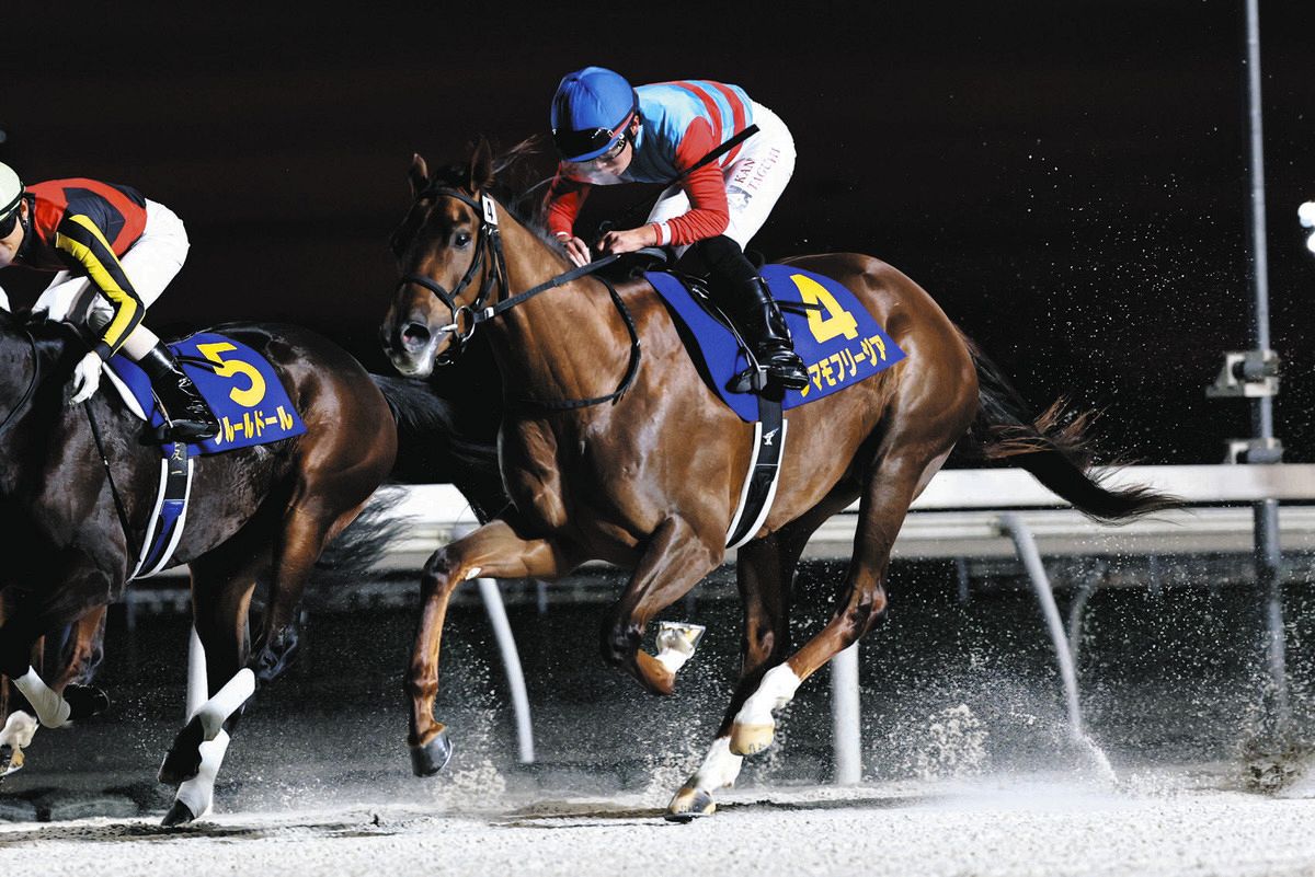 川崎競馬】全日本2歳優駿の出走予定馬発表 JBC2歳優駿の勝ち馬タマモ