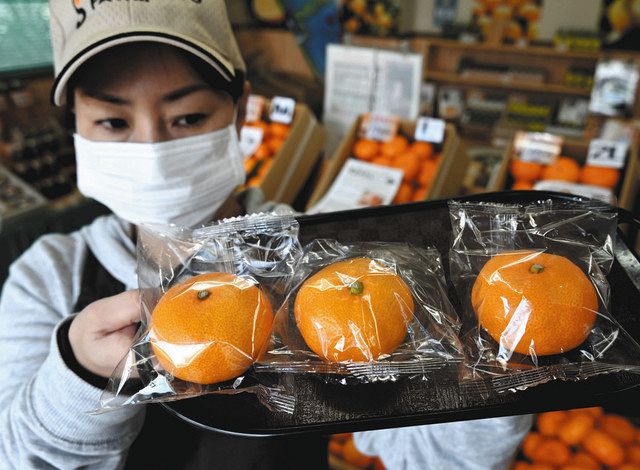 輸出ミカン、個包装で守る 三重の「すぎもと農園」、高級感にも一役