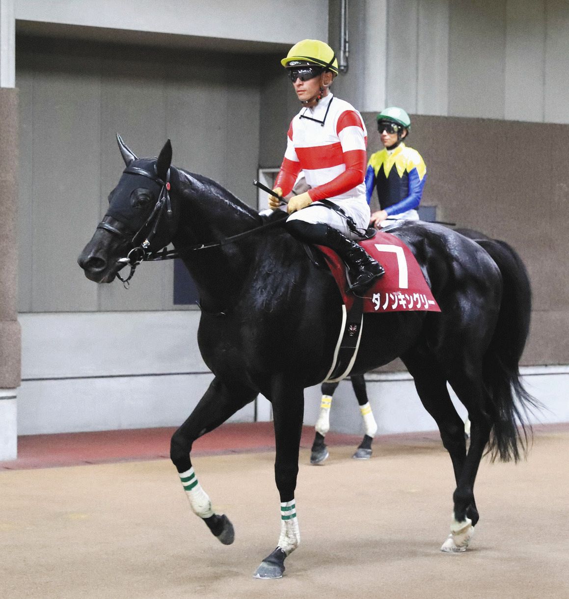 限定品】ホースレーシング2019 ダノンレジェンド GⅠ勝ダノンキング