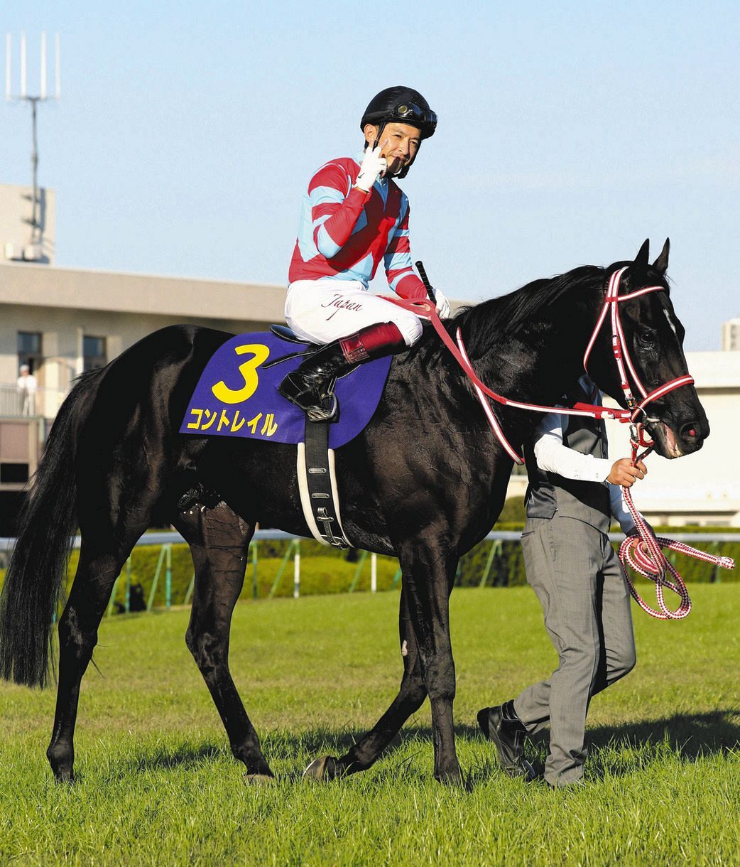 三冠馬フィギュア3体 三冠馬フィギュア3体