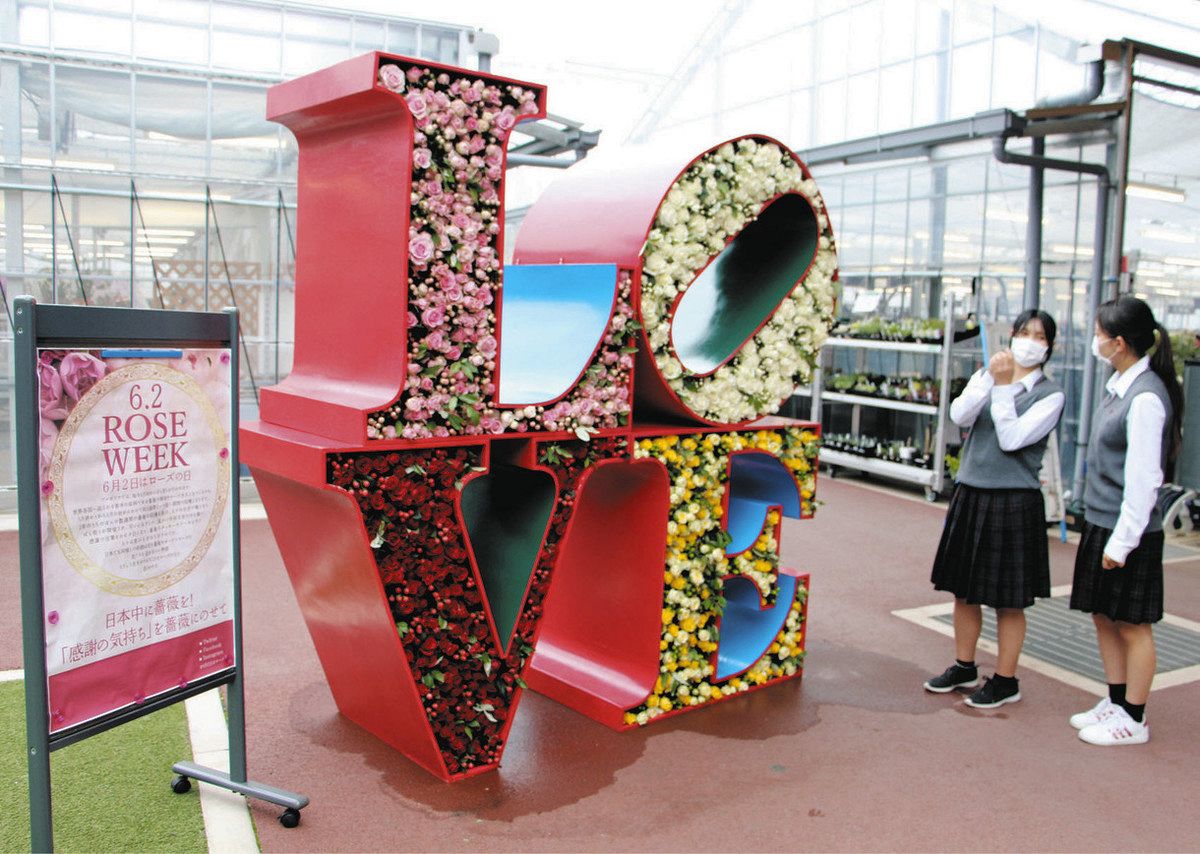 6月2日はローズの日 西尾でスイーツなどバラづくしのイベント ：中日