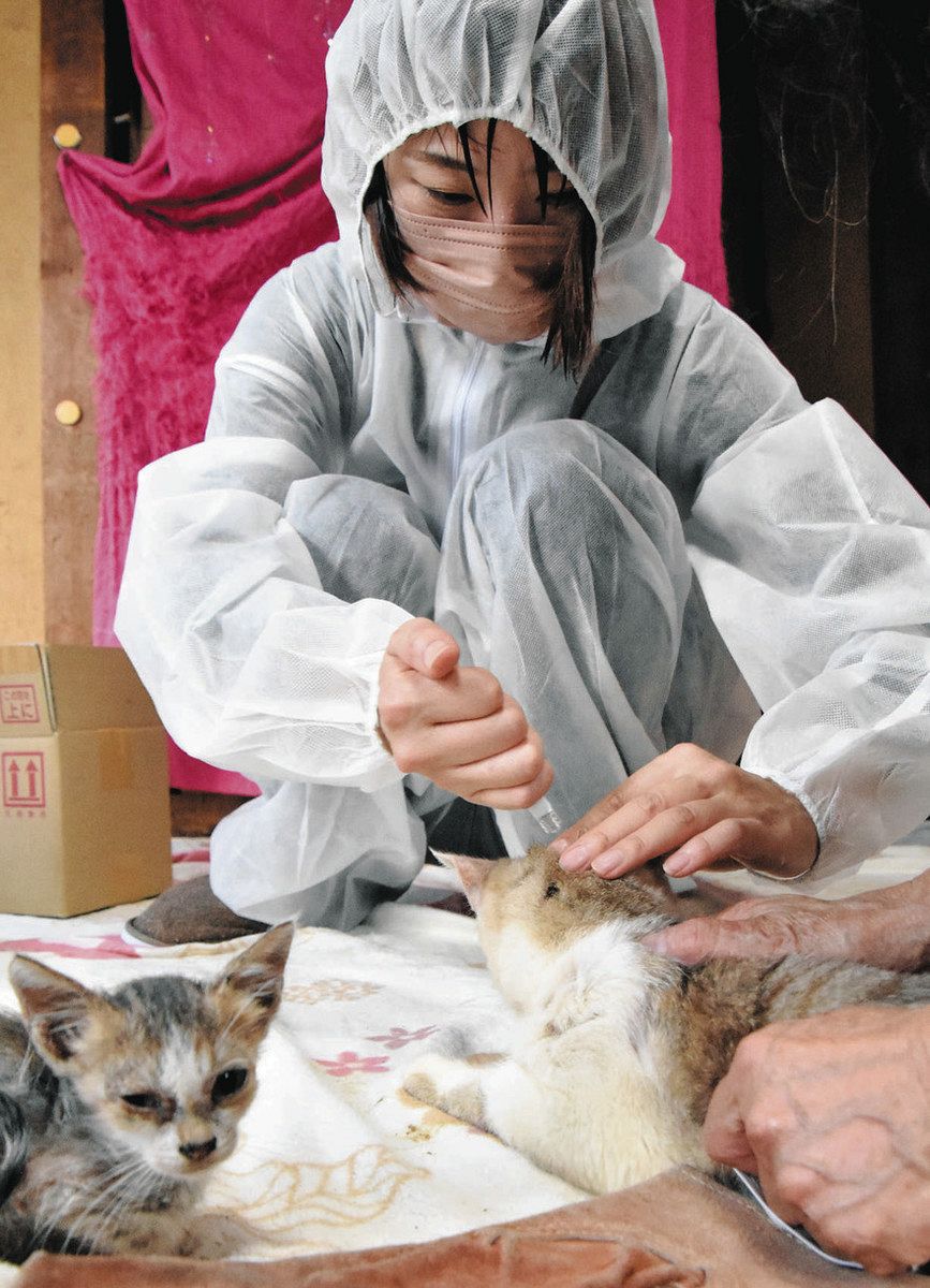 ペットを多頭飼いする女性