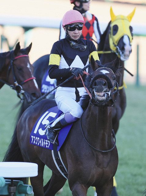 アスクワイルドモア前走10着の敗因は『落鉄』…蹄鉄は競走能力をそぐ  