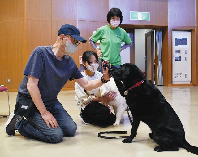 セラピー犬とふれあい 命の大切さ考えて 美濃加茂でイベント 中日新聞web