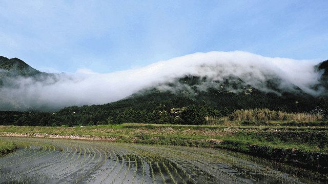 桜島 3 丁目 バス停