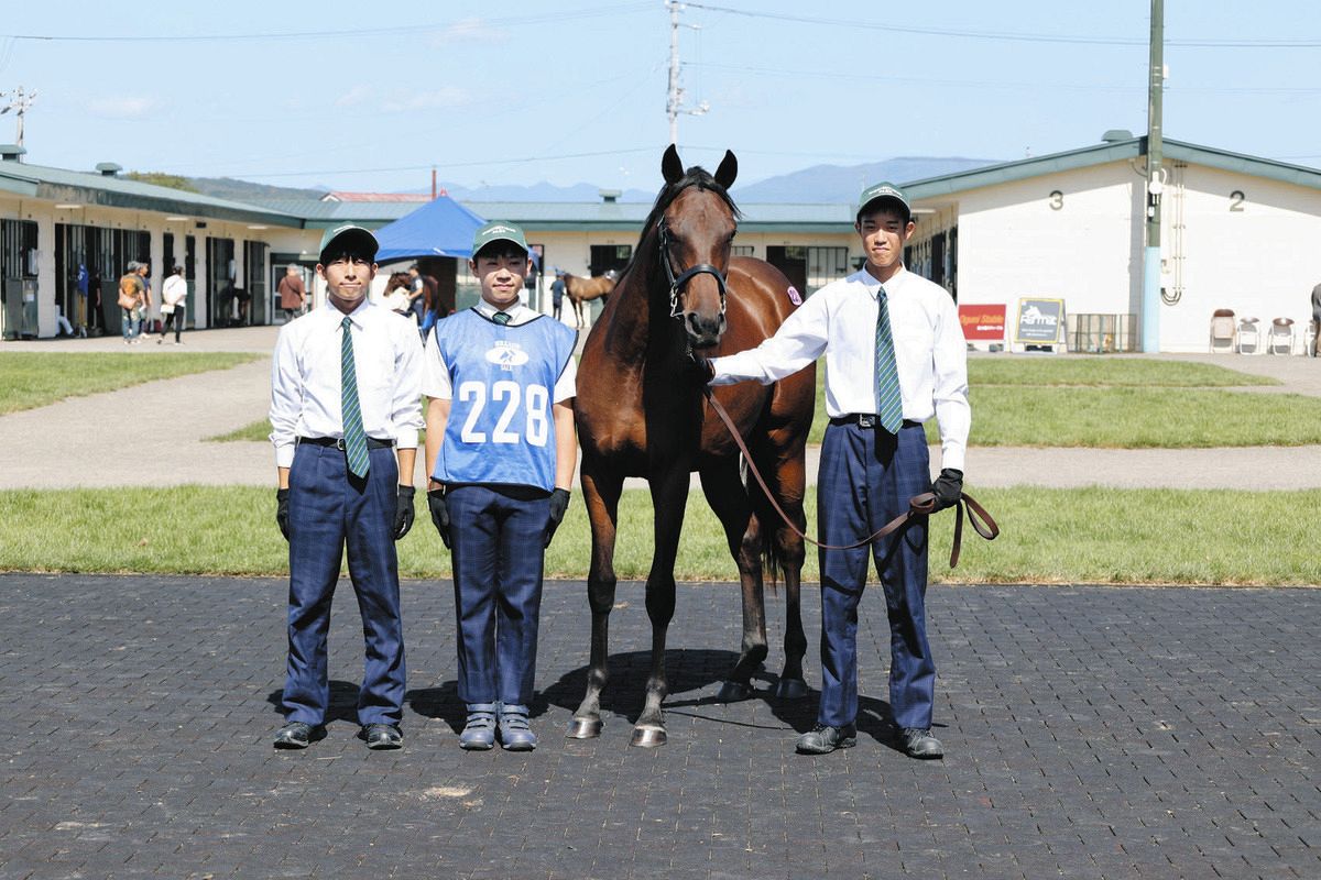 北海道セプテンバーセールが開催、セール2日目の静内農業高校生産馬