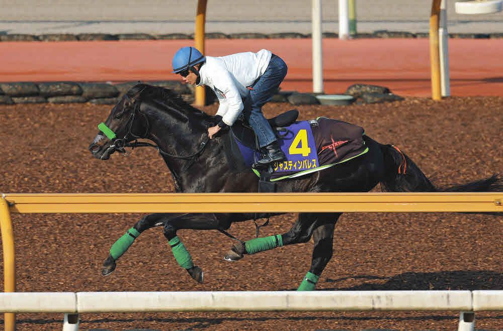 ⑤◆ 競馬 JRA ◆ ジャスティンパレス ◆ 天皇賞春 ◆ 2種類セット ◆ 天皇賞・春追い切り】ジャスティンパレス、しまい鋭く11秒2