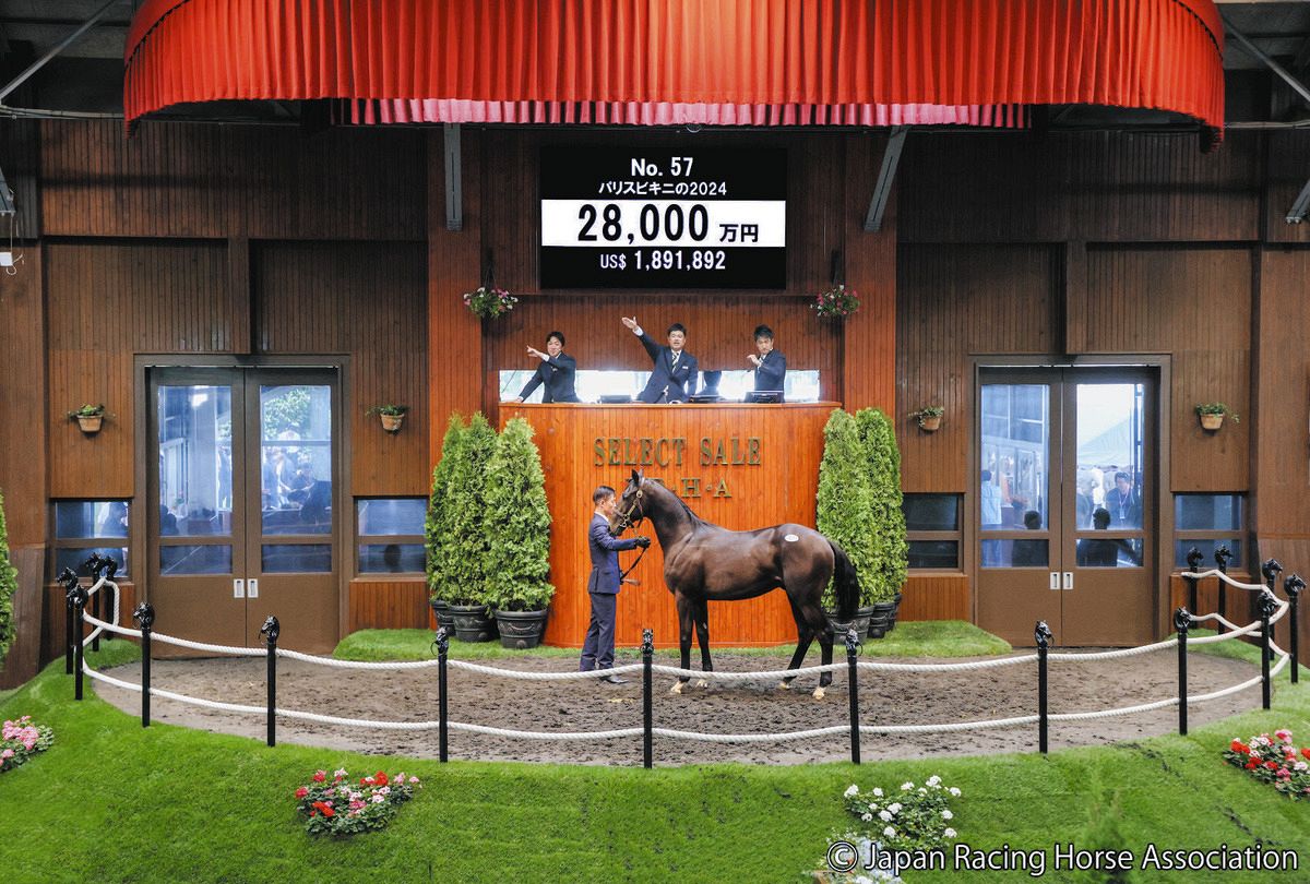 中山競馬場　ドウデュース　コントレイル　ファイル コントレイル (Contrail) | 競走馬データ - netkeiba