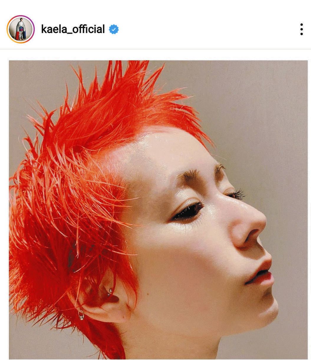 木村二朗「フラメンコの女」8号油彩,封蝋的マチエル,迫真の横顔 写真】木村カエラ、朱色の”イケメンヘア”公開：中日スポーツ・東京中日