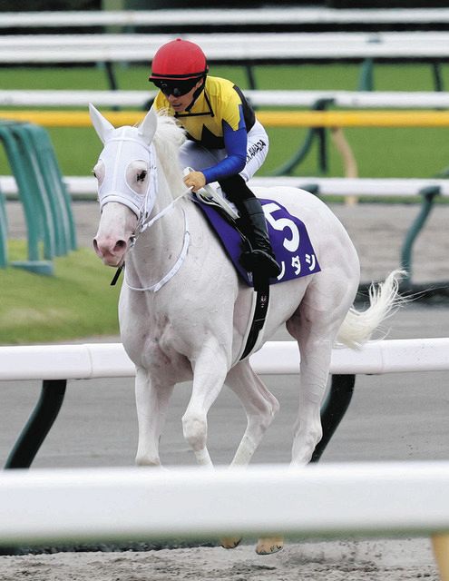 2番人気ソダシは7着 陣営は力走をねぎらう 須貝師は今月で退職する今浪厩務員に感謝【安田記念】：中日スポーツ・東京中日スポーツ