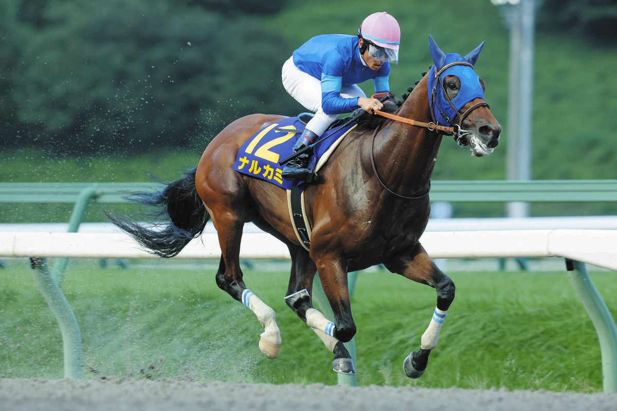 盛岡競馬・不来方賞】単勝1番人気ナルカミが重賞初挑戦で戴冠 武豊騎乗