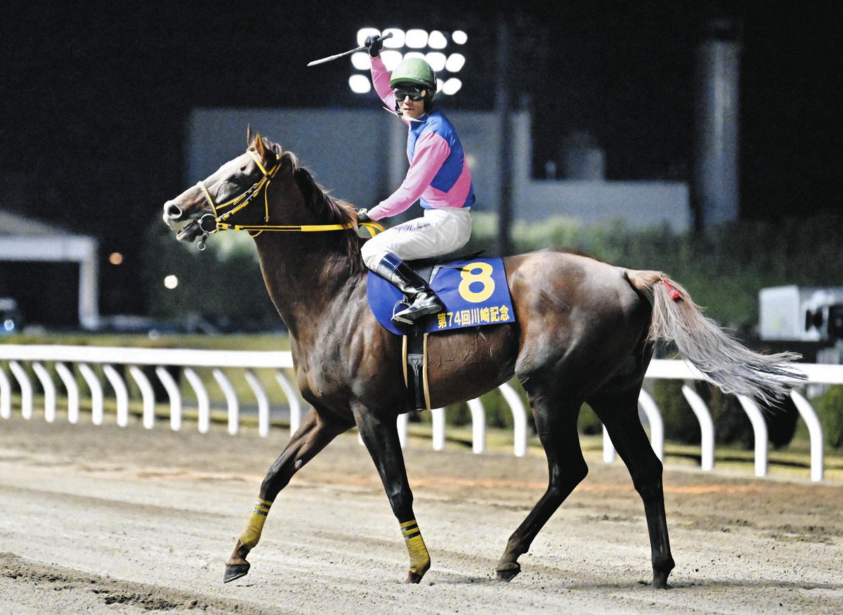 有力馬動向】川崎記念で復活Vのメイショウハリオは平安Sへ