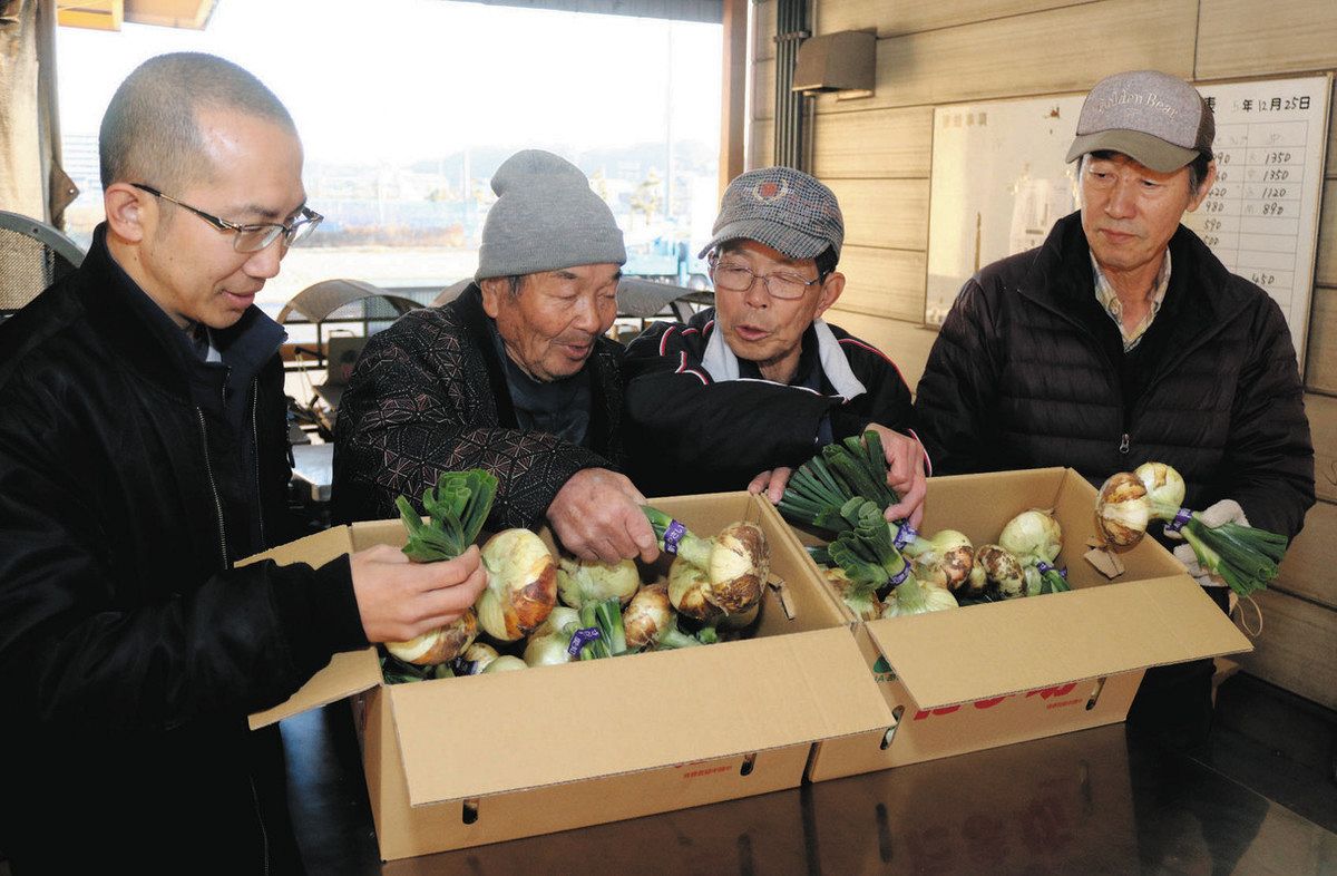 たまきち様 JA知多のブランドタマネギ「たま坊」出荷始まる 東海と知多の両市で