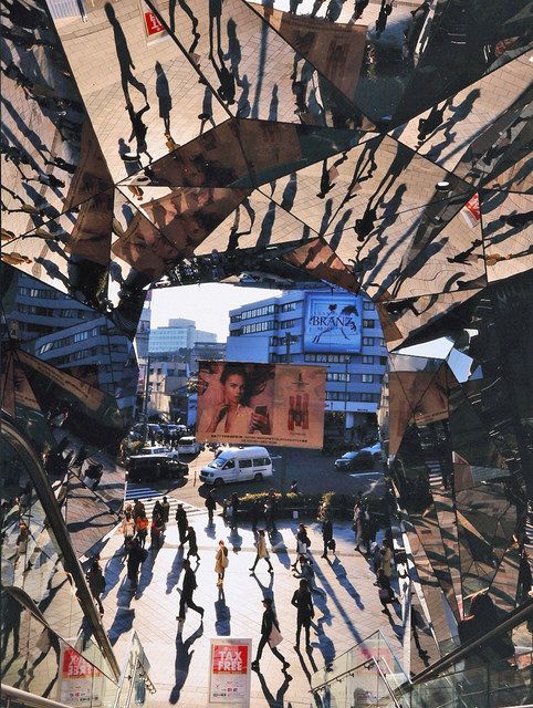 県写真展覧会で長浜の宮崎さんが大賞 企画性と技術力を評価 中日新聞web