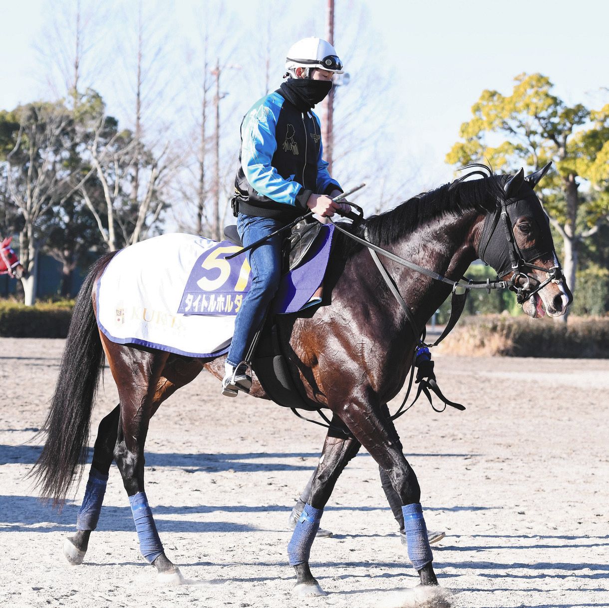 有馬記念枠順確定 過去10年で4着最高 タイトルホルダー試練の大外8枠16番も横山和 嫌いじゃない 中日スポーツ 東京中日スポーツ