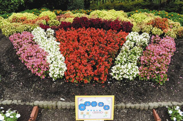 コロナ退散 咲き誇る願い 各地で花壇コンクール 北陸中日新聞web コロナ退散 咲き誇る願い 各地で花壇コンクール 北陸中日新聞web