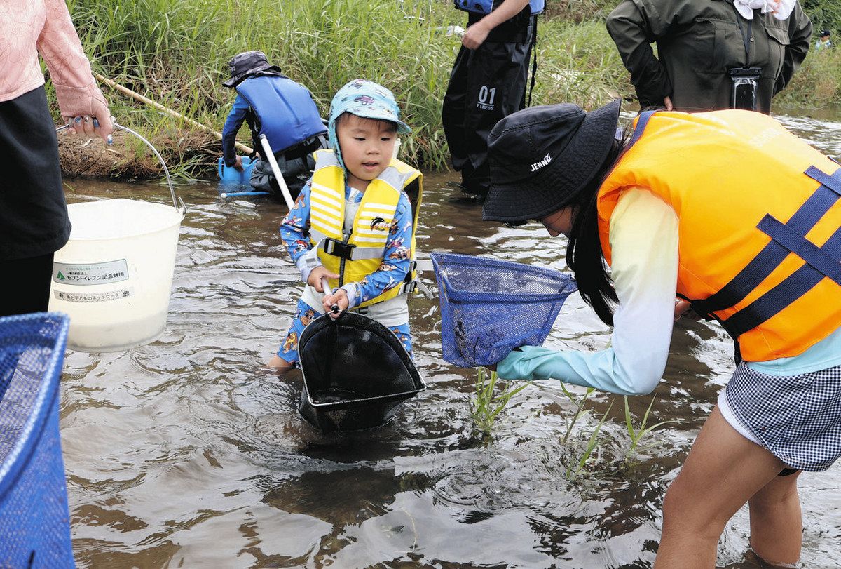 捕まえた魚を観察する子どもたち＝津市安濃町内多の安濃川で