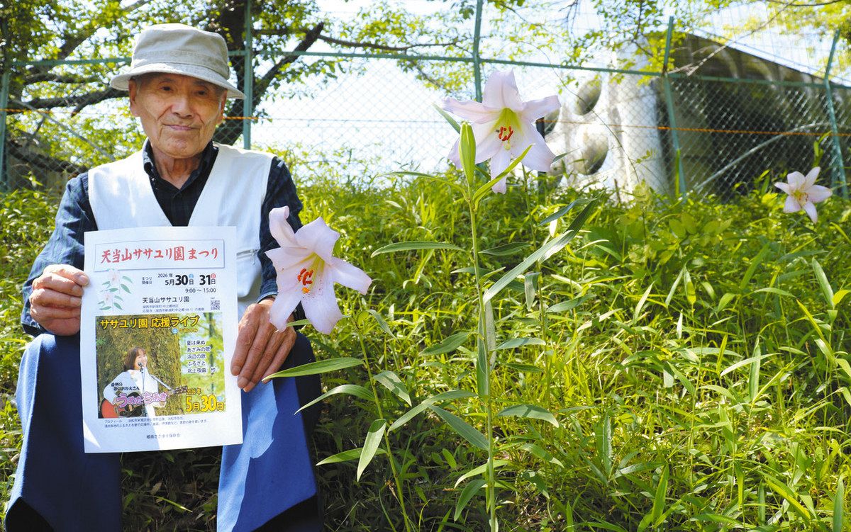 斜面のササユリ”咲き始め 新居で群生、30・31日に見学会：中日新聞
