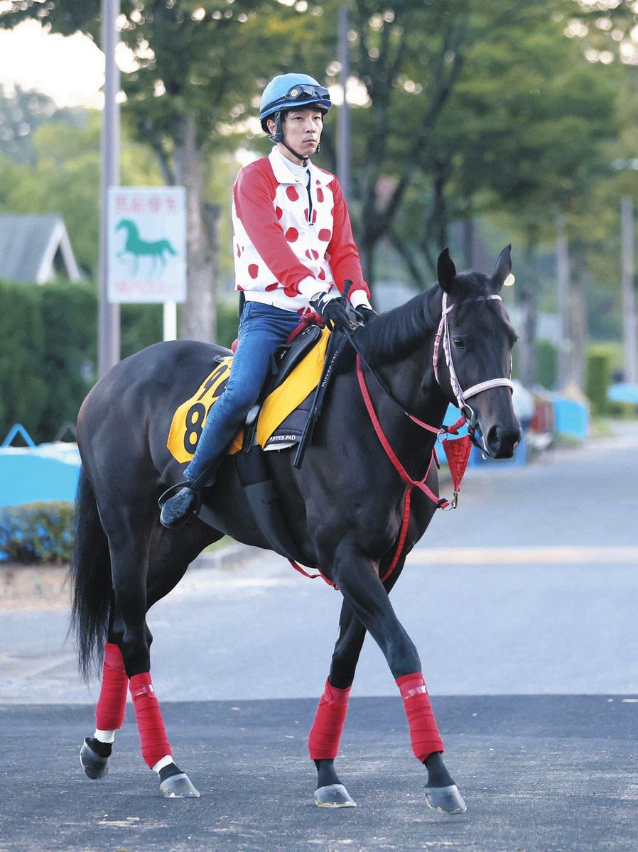 アイルランドT】単勝4番人気ラヴァンダが直線外から鋭く伸びて差し切り