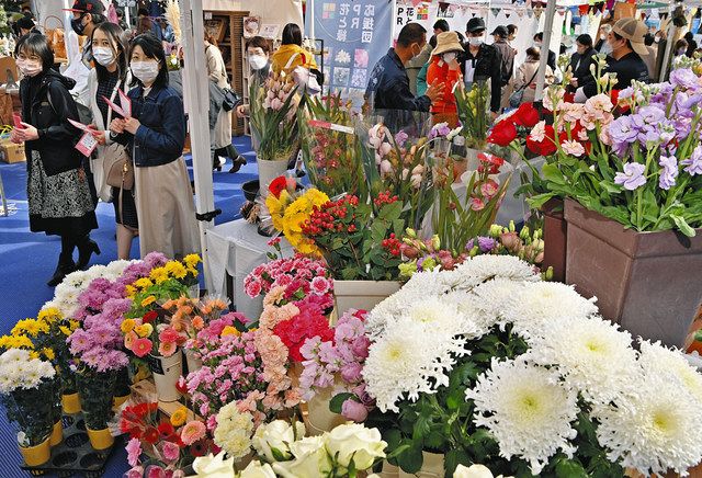 あいちの花、色とりどり 名古屋・栄で20日まで「花マルシェ」：中日新聞Web