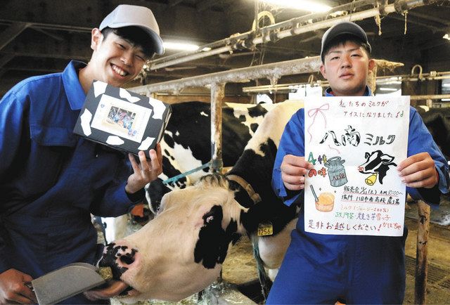 飼育している乳牛とアイスをＰＲする生徒たち＝東近江市の八日市南高で 